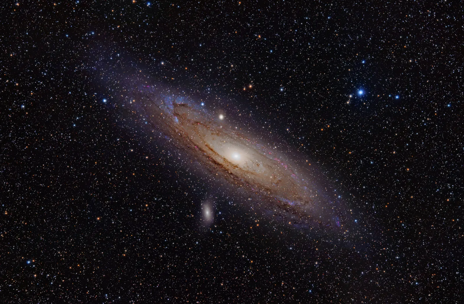 The Andromeda galaxy stretched across a dark starry sky, a glowing tilted spiral with dust lanes and pink star-forming knots, its two small companion galaxies nearby.
