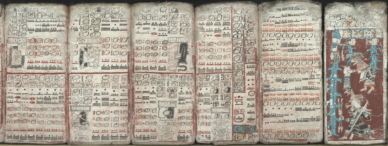 Six folded bark-paper leaves of the Maya Dresden Codex side by side, painted glyph columns and figures in red, black and blue-green on a pale stucco ground.