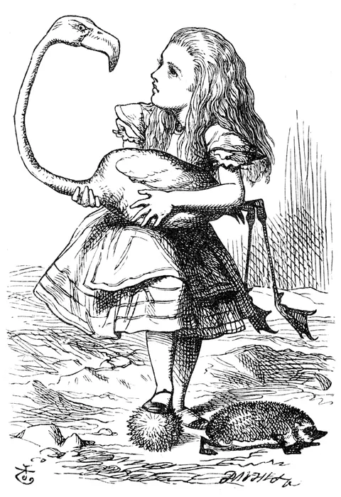 John Tenniel's drawing of the trial in Alice's Adventures in Wonderland. The King reads from a scroll.