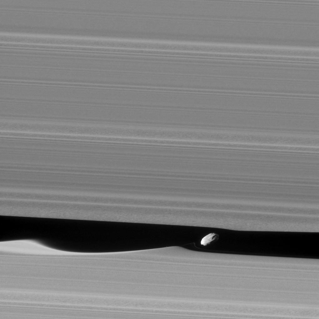 Daphnis in the Keeler Gap of Saturn’s A ring. The gap is about 42 km wide.